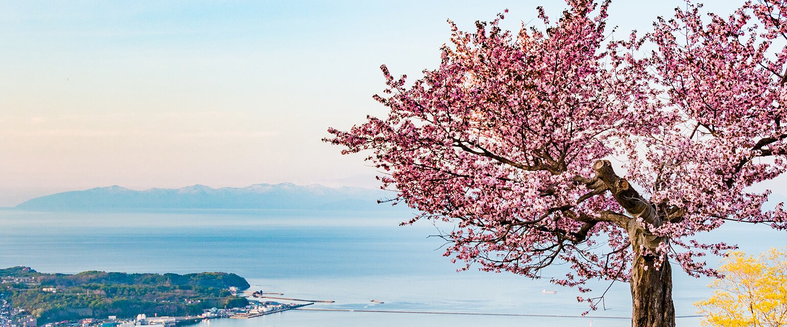 spring sample itineraries